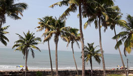 Cherai Beach Palace Kochi - Outside View_1