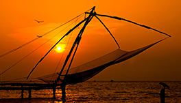 Cherai Beach Palace Kochi - Picture_1